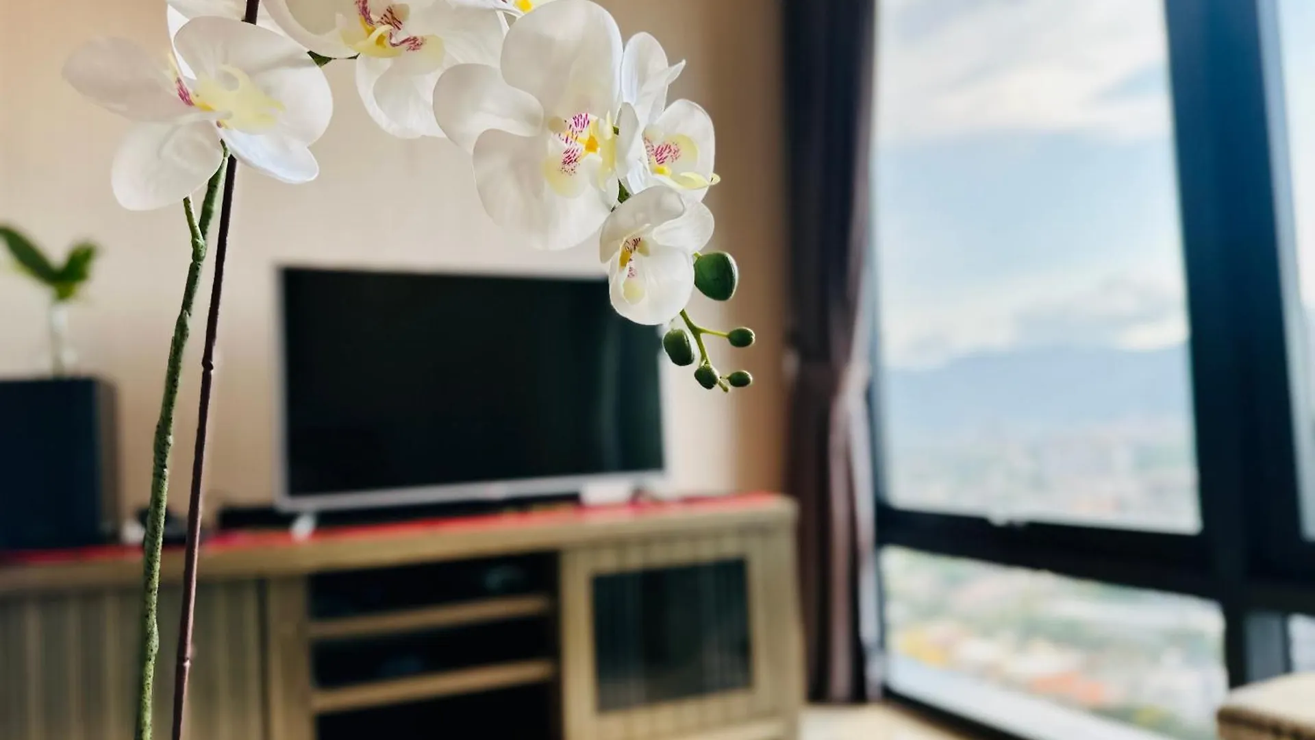 New Georgetown Tropical Macalister 218 Homestay 9Pax To11Pax Heng